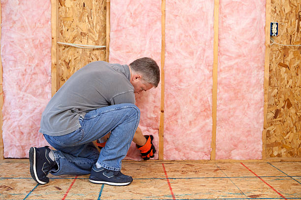 Best Spray Foam Insulation  in Essex, MD